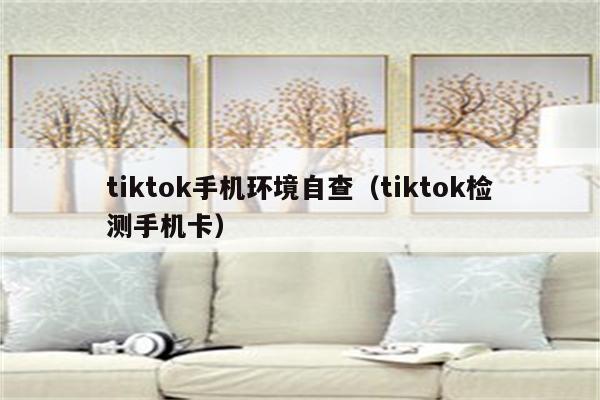 tiktok手机环境自查（tiktok检测手机卡）