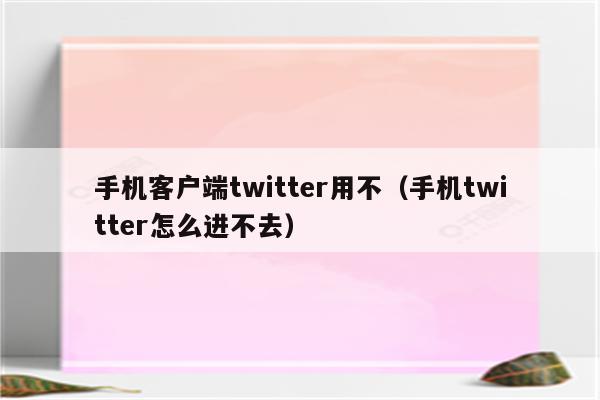 手机客户端twitter用不（手机twitter怎么进不去）