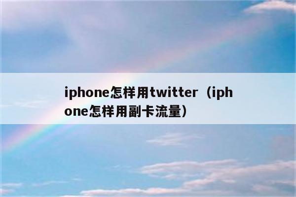 iphone怎样用twitter（iphone怎样用副卡流量）