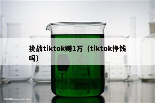 挑战tiktok赚1万（tiktok挣钱吗）