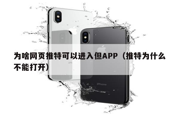 为啥网页推特可以进入但APP（推特为什么不能打开）