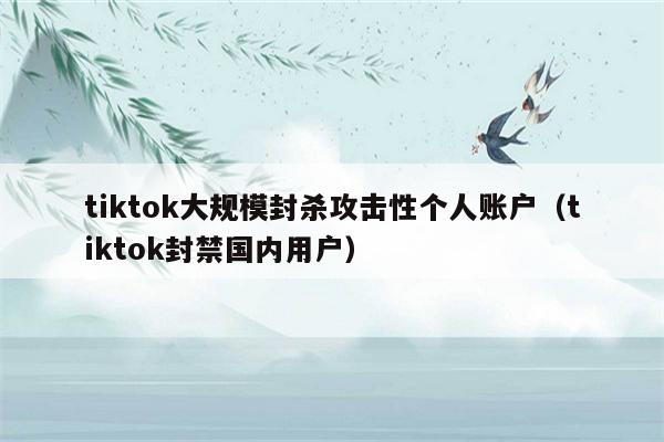 tiktok大规模封杀攻击性个人账户（tiktok封禁国内用户）