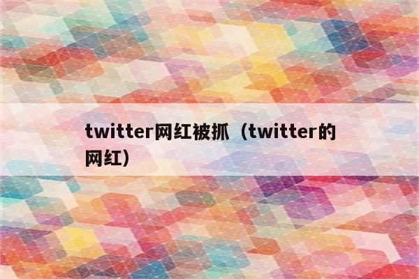 twitter网红被抓（twitter的网红）