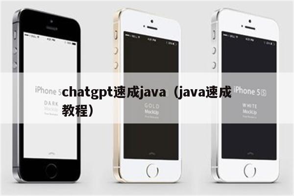 chatgpt速成java（java速成教程）