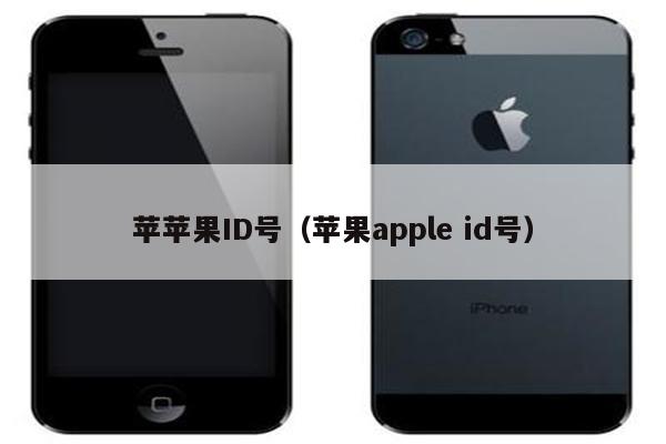 苹苹果ID号（苹果apple id号）