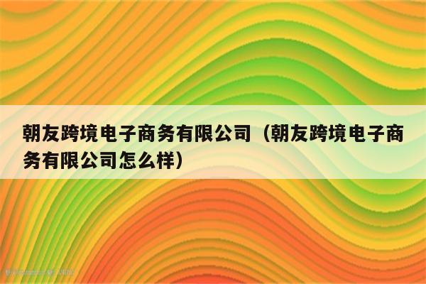 朝友跨境电子商务有限公司（朝友跨境电子商务有限公司怎么样）