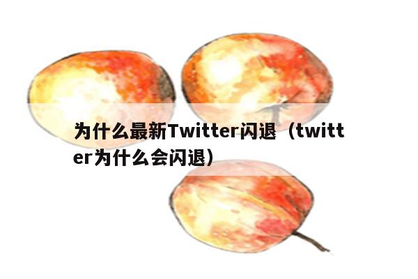 为什么最新Twitter闪退（twitter为什么会闪退）