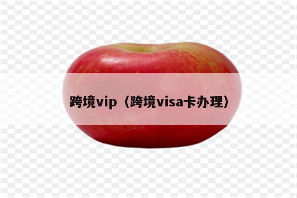 跨境vip（跨境visa卡办理）