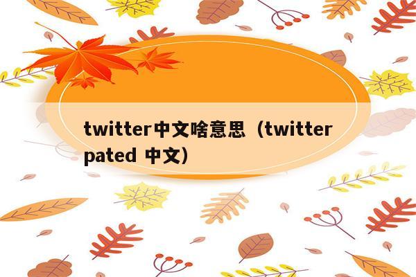 twitter中文啥意思（twitterpated 中文）