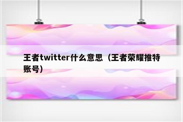 王者twitter什么意思（王者荣耀推特账号）