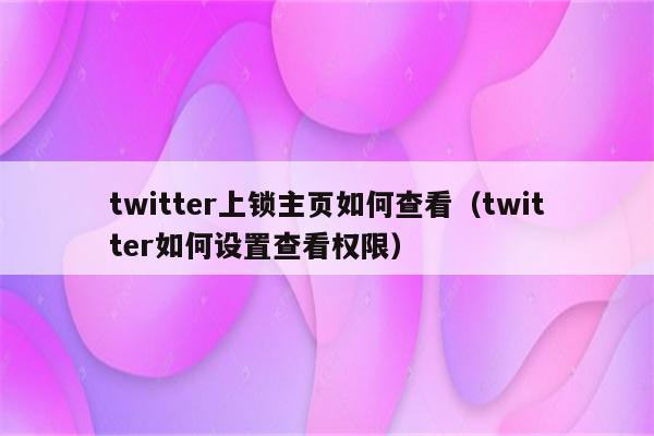 twitter上锁主页如何查看（twitter如何设置查看权限）