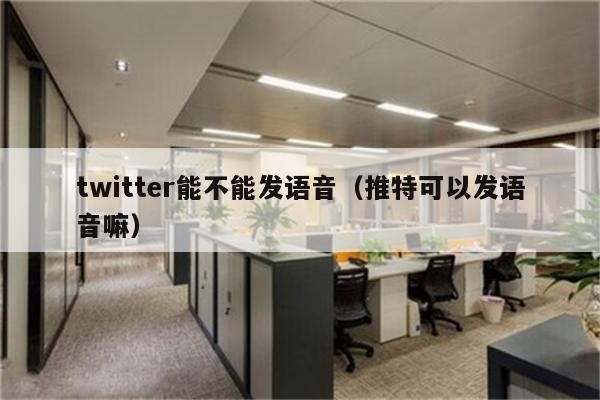 twitter能不能发语音（推特可以发语音嘛）