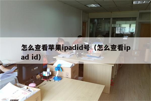 怎么查看苹果ipadid号（怎么查看ipad id）