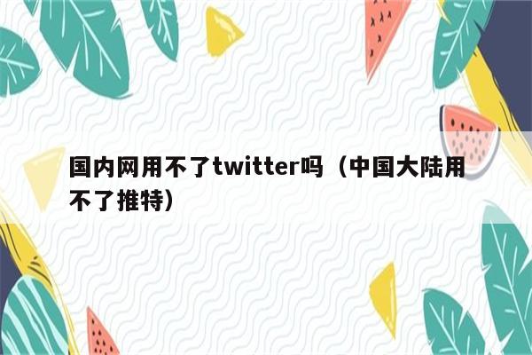 国内网用不了twitter吗（中国大陆用不了推特）