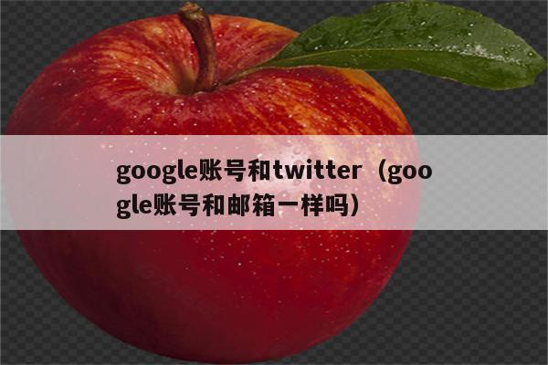 google账号和twitter（google账号和邮箱一样吗）