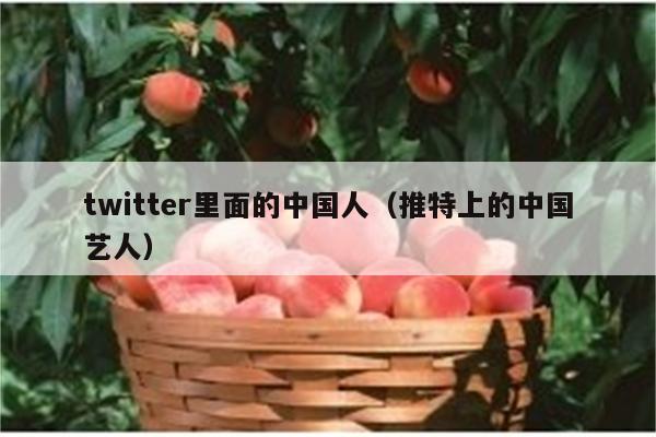 twitter里面的中国人（推特上的中国艺人）