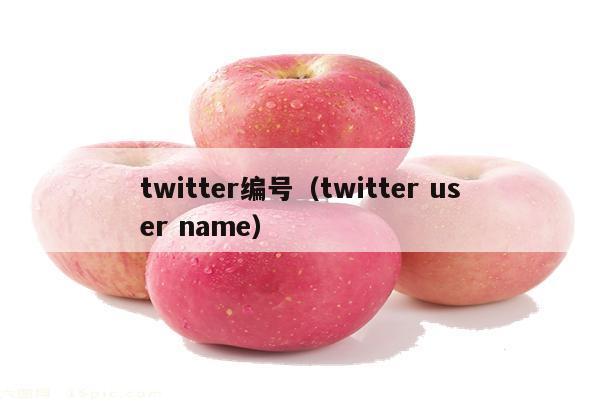 twitter编号（twitter user name）