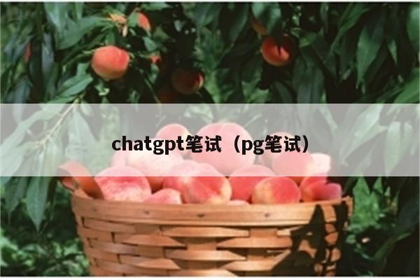 chatgpt笔试（pg笔试）