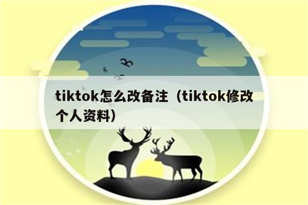 tiktok怎么改备注（tiktok修改个人资料）