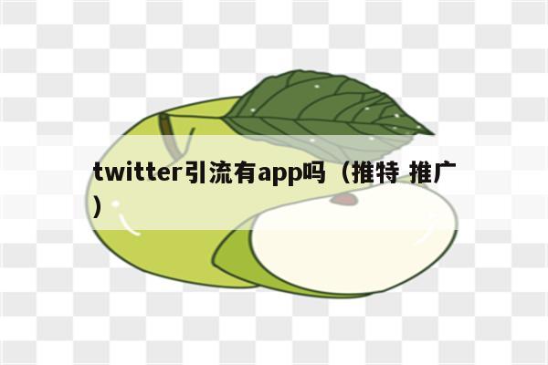 twitter引流有app吗（推特 推广）