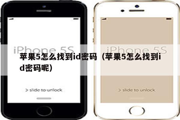 苹果5怎么找到id密码（苹果5怎么找到id密码呢）
