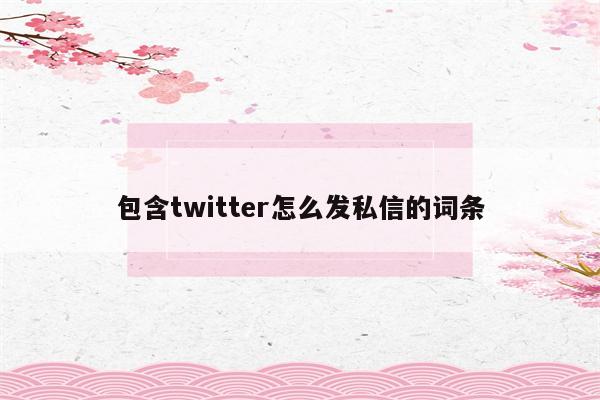 包含twitter怎么发私信的词条