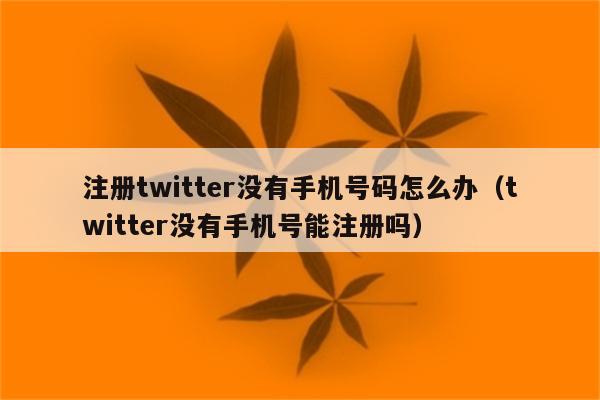 注册twitter没有手机号码怎么办（twitter没有手机号能注册吗）