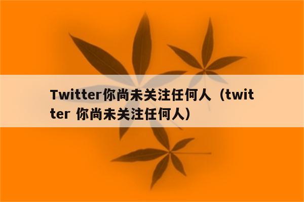 Twitter你尚未关注任何人（twitter 你尚未关注任何人）