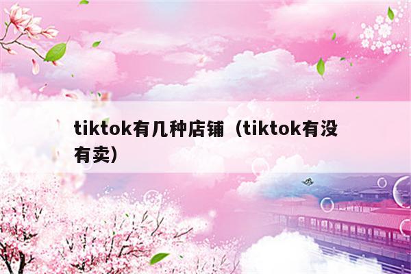 tiktok有几种店铺（tiktok有没有卖）