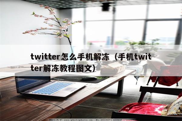 twitter怎么手机解冻（手机twitter解冻教程图文）