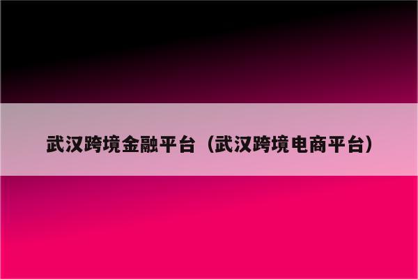 武汉跨境金融平台（武汉跨境电商平台）