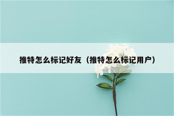 推特怎么标记好友（推特怎么标记用户）