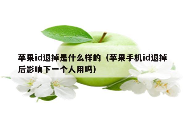 苹果id退掉是什么样的（苹果手机id退掉后影响下一个人用吗）