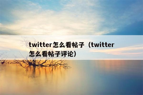 twitter怎么看帖子（twitter怎么看帖子评论）