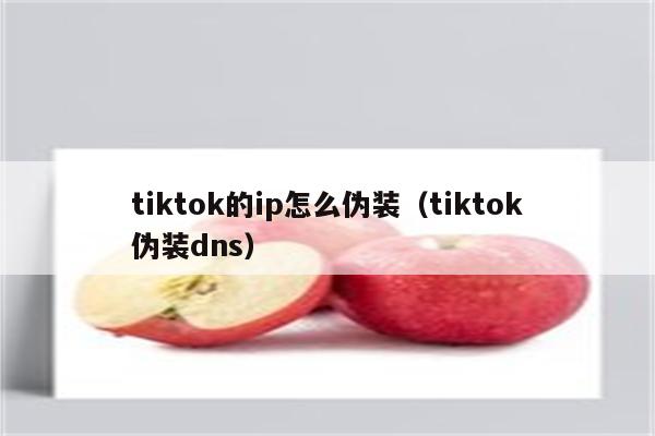 tiktok的ip怎么伪装（tiktok伪装dns）