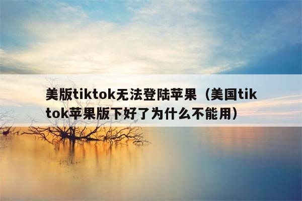 美版tiktok无法登陆苹果（美国tiktok苹果版下好了为什么不能用）