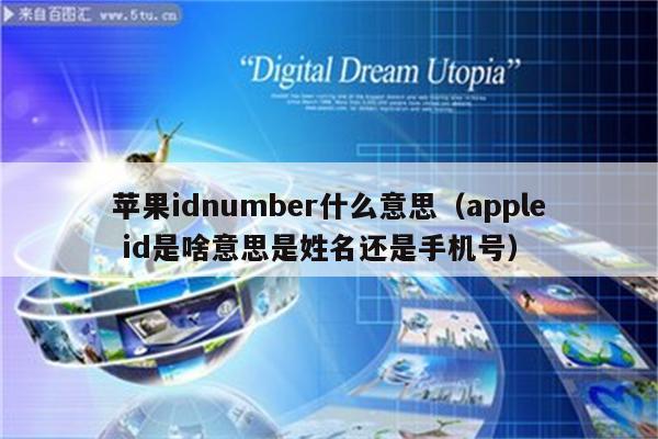 苹果idnumber什么意思（apple id是啥意思是姓名还是手机号）