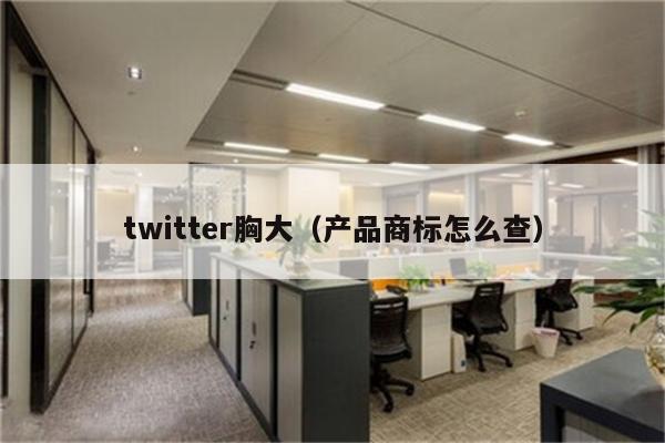 twitter胸大（产品商标怎么查）