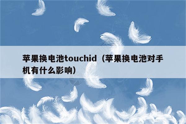 苹果换电池touchid（苹果换电池对手机有什么影响）