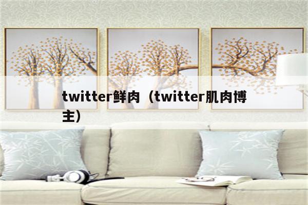 twitter鲜肉（twitter肌肉博主）