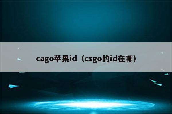 cago苹果id（csgo的id在哪）