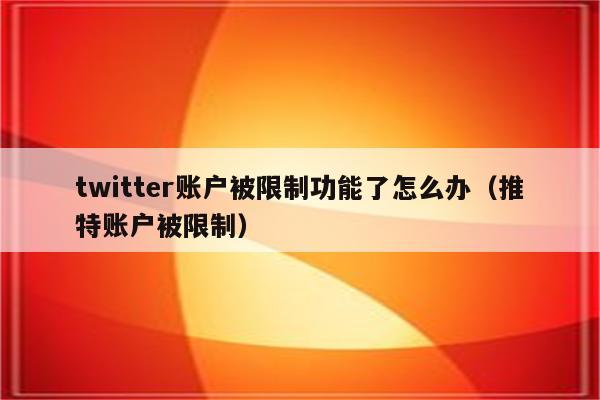 twitter账户被限制功能了怎么办（推特账户被限制）