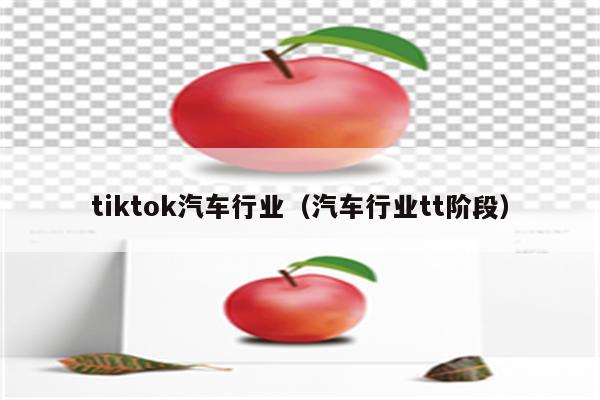 tiktok汽车行业（汽车行业tt阶段）