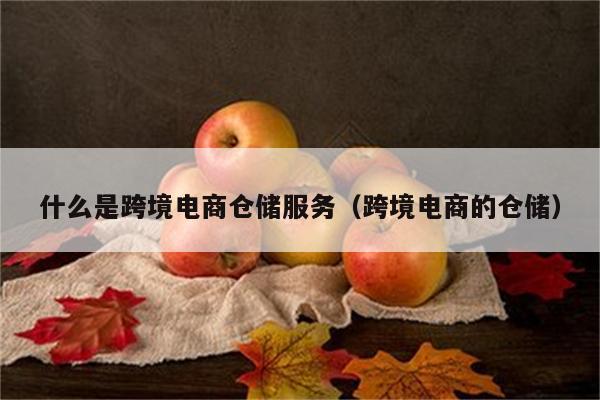 什么是跨境电商仓储服务（跨境电商的仓储）