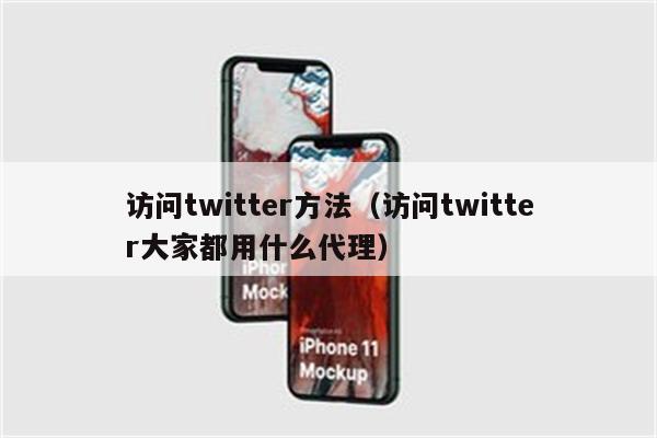 访问twitter方法（访问twitter大家都用什么代理）