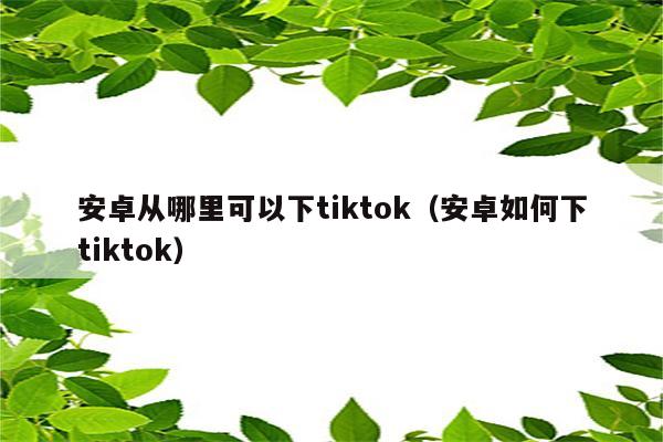 安卓从哪里可以下tiktok（安卓如何下tiktok）