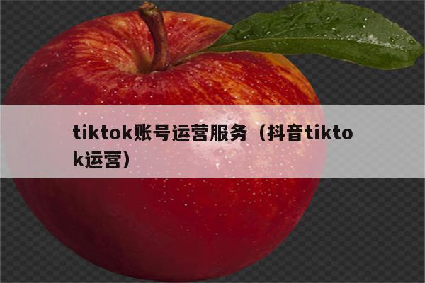 tiktok账号运营服务（抖音tiktok运营）