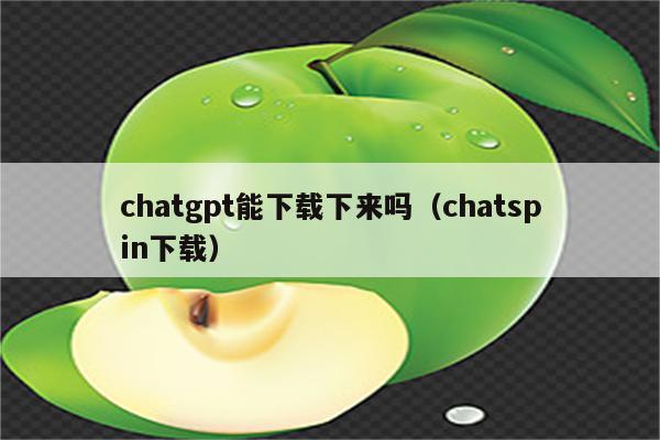 chatgpt能下载下来吗（chatspin下载）