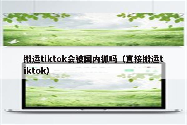 搬运tiktok会被国内抓吗（直接搬运tiktok）