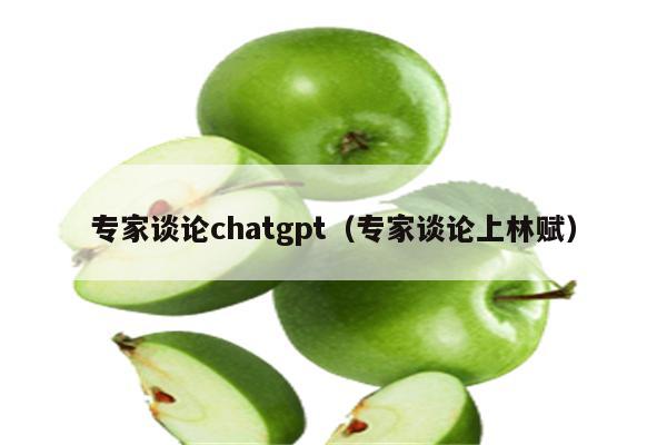 专家谈论chatgpt（专家谈论上林赋）